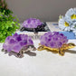 4.3" Amethyst Clusters Tortoise Free Form Bulk Wholesale