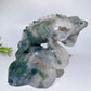 Unique Hand Carved Druzy Moss Agate Lizard Free Form Crystal Healing Bulk Wholesale