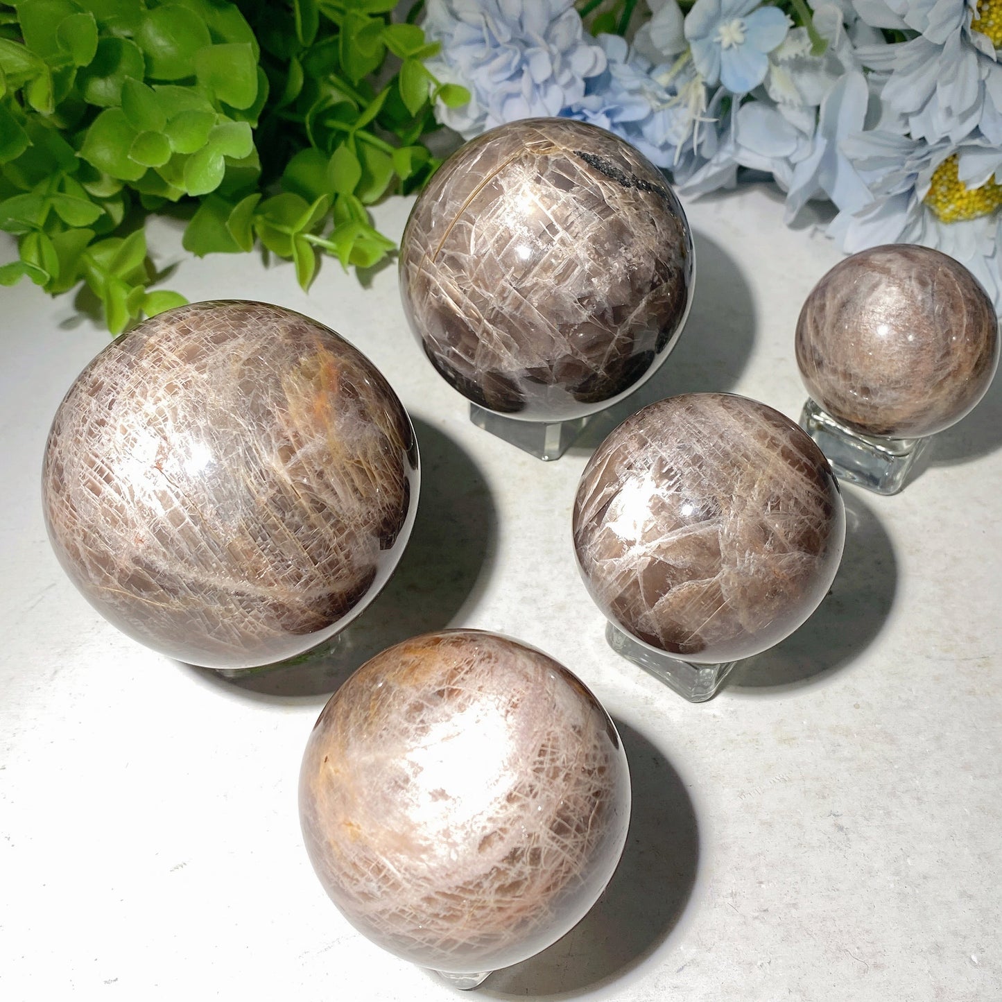 1.5"-3.0" Dark Moon Stone Sphere Bulk Wholesale