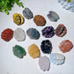 1.3" Mixed Crystal Shell Carvings Bulk Wholesale