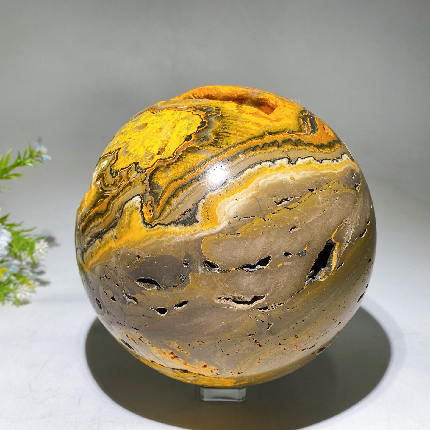 15cm Unique Large Bumble Bee Jasper Sphere Crystal Healing Bulk Wholesale