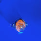Sterling Silver UV Reactive Hackmanite Ring Crystal Healing Bulk Wholesale