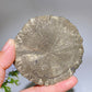 2.8"-3.3" Pyrite Sun Carving Crystal Healing Bulk Wholesale