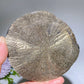 2.8"-3.3" Pyrite Sun Carving Crystal Healing Bulk Wholesale