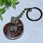 Ammonite Key Chain Ammonite Pendant Bulk Wholesale