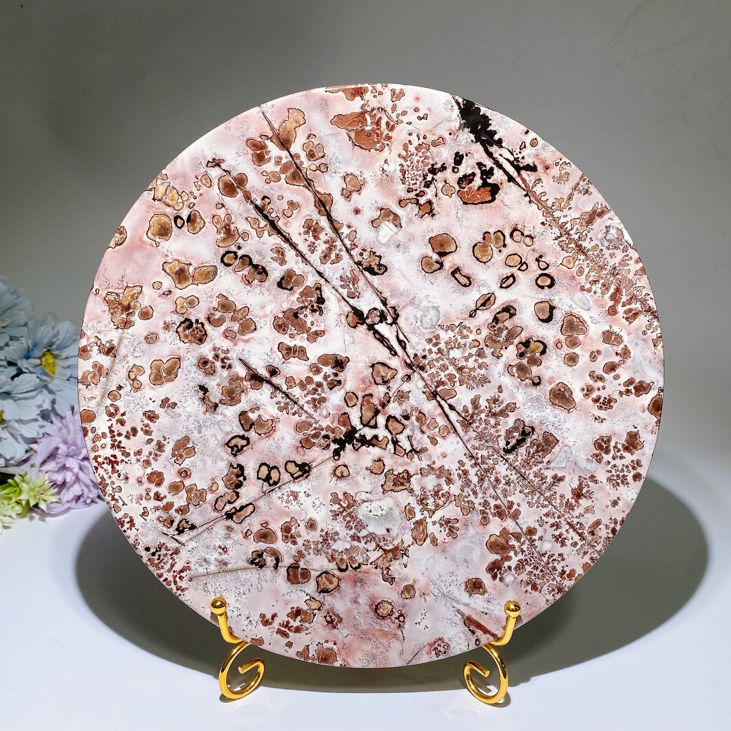 20.5-24cm Picture Jasper Plate Carving Crystal Healing Bulk Wholesale