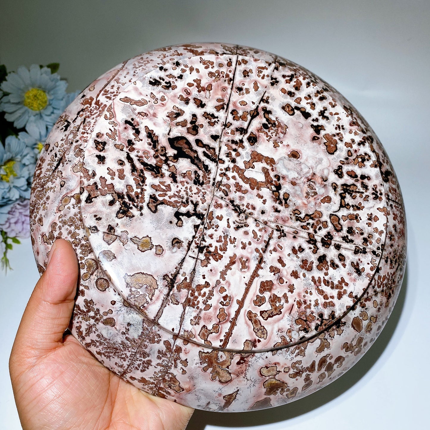 20.5-24cm Picture Jasper Plate Carving Crystal Healing Bulk Wholesale