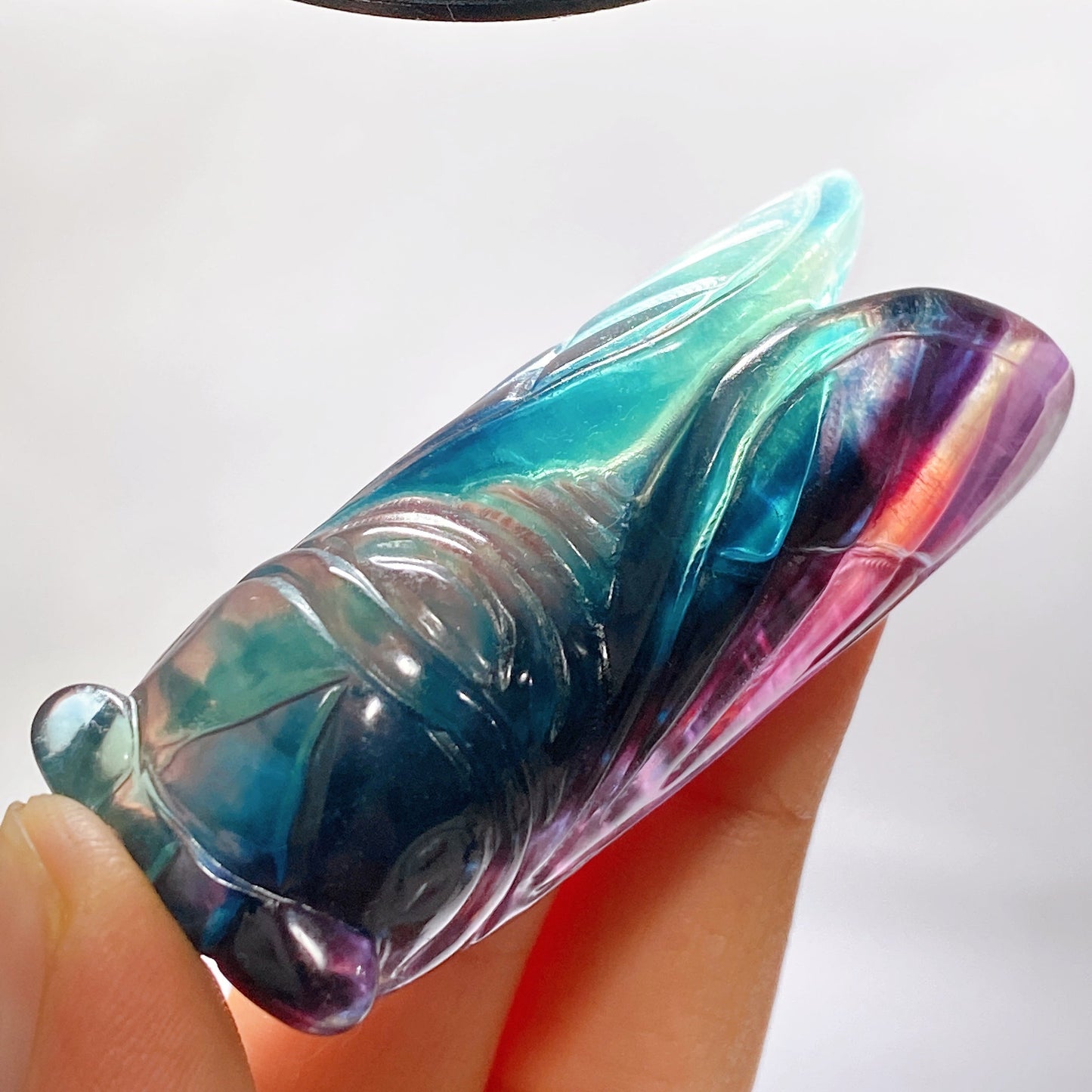 2.7" Rainbow Fluorite Cicada Carving Crystal Healing Bulk Wholesale