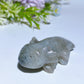 2.4" Crystal Salamander Carving Crystal Healing Bulk Wholesale