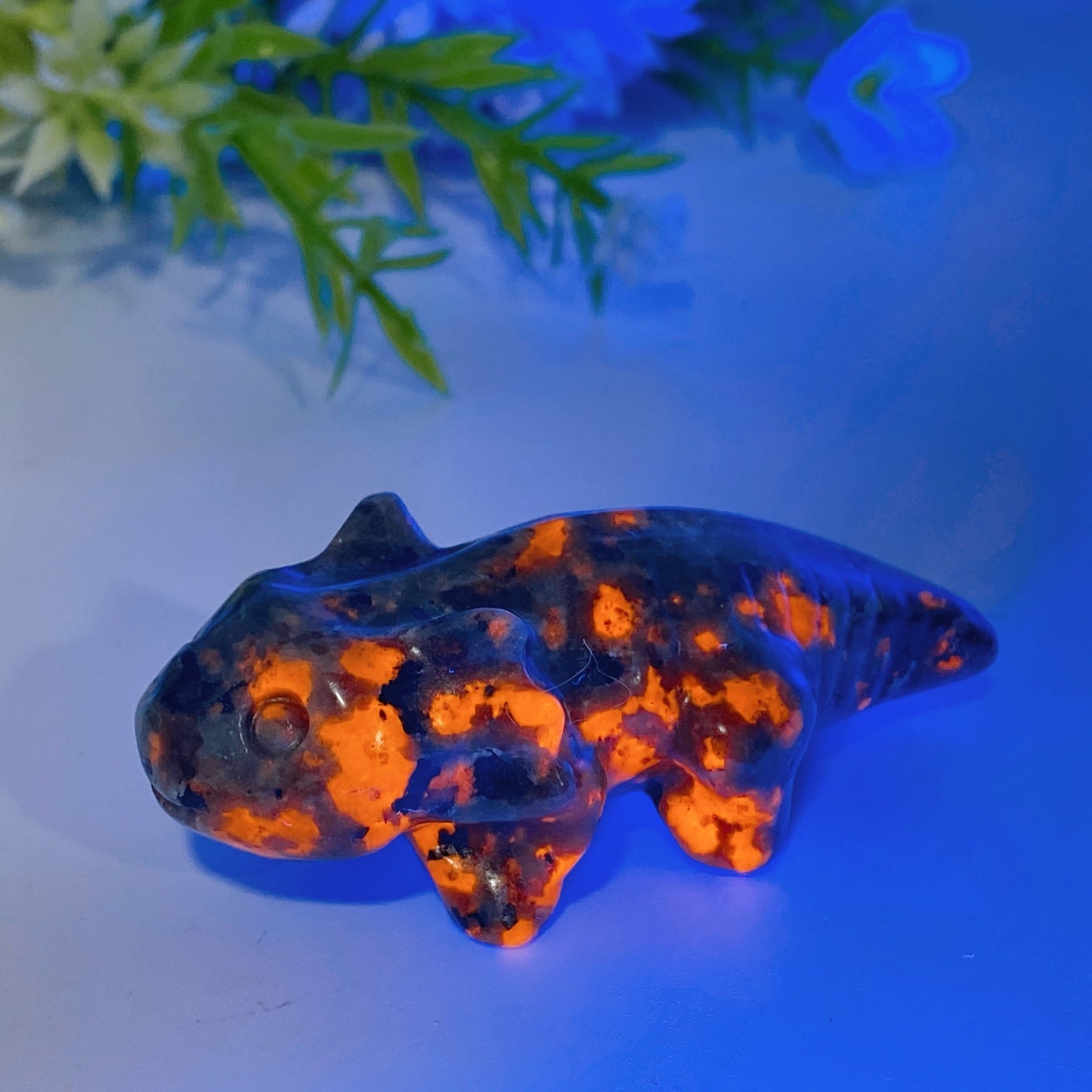 2.4" Crystal Salamander Carving Crystal Healing Bulk Wholesale