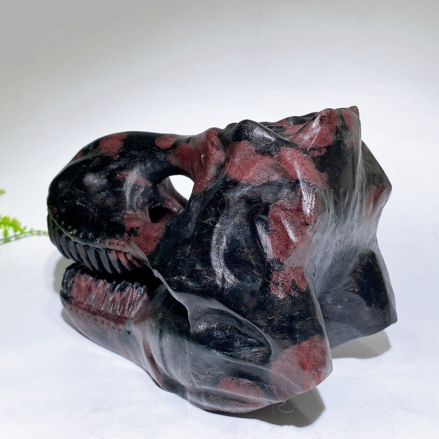 Natural Astrophylite Growing with Garnet Dinosaur Skull Carving Crystal Healing Bulk Wholesale