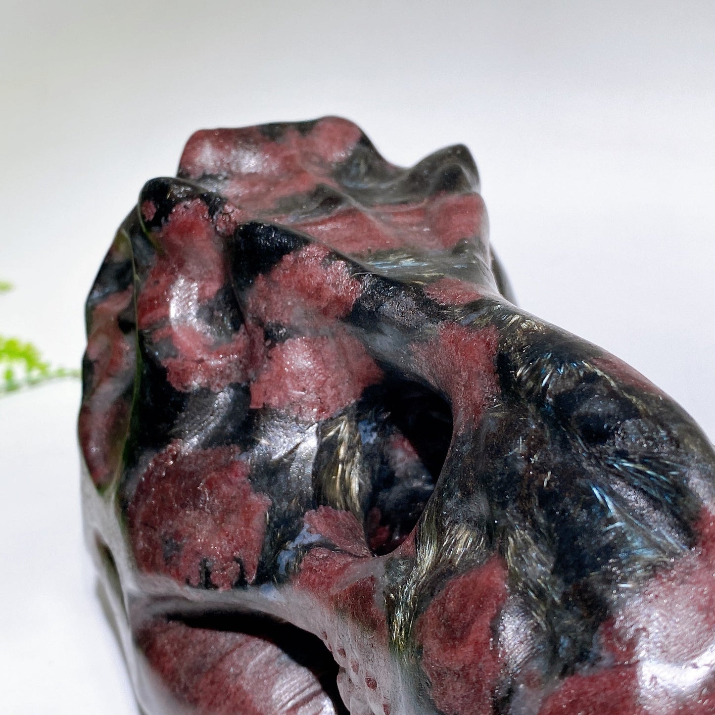 Natural Astrophylite Growing with Garnet Dinosaur Skull Carving Crystal Healing Bulk Wholesale