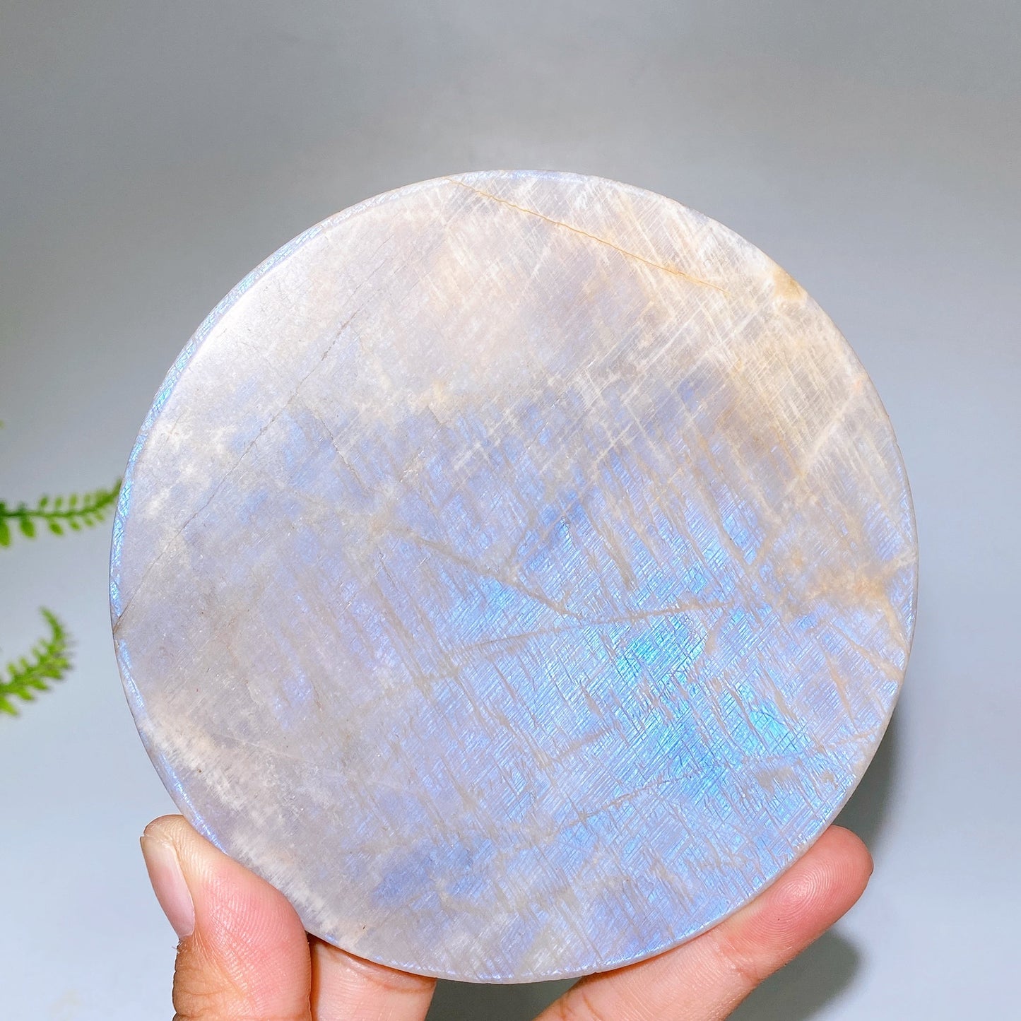 4.6"-5.0" Natural Table with Metal Holder Crystal Healing Bulk Wholesale