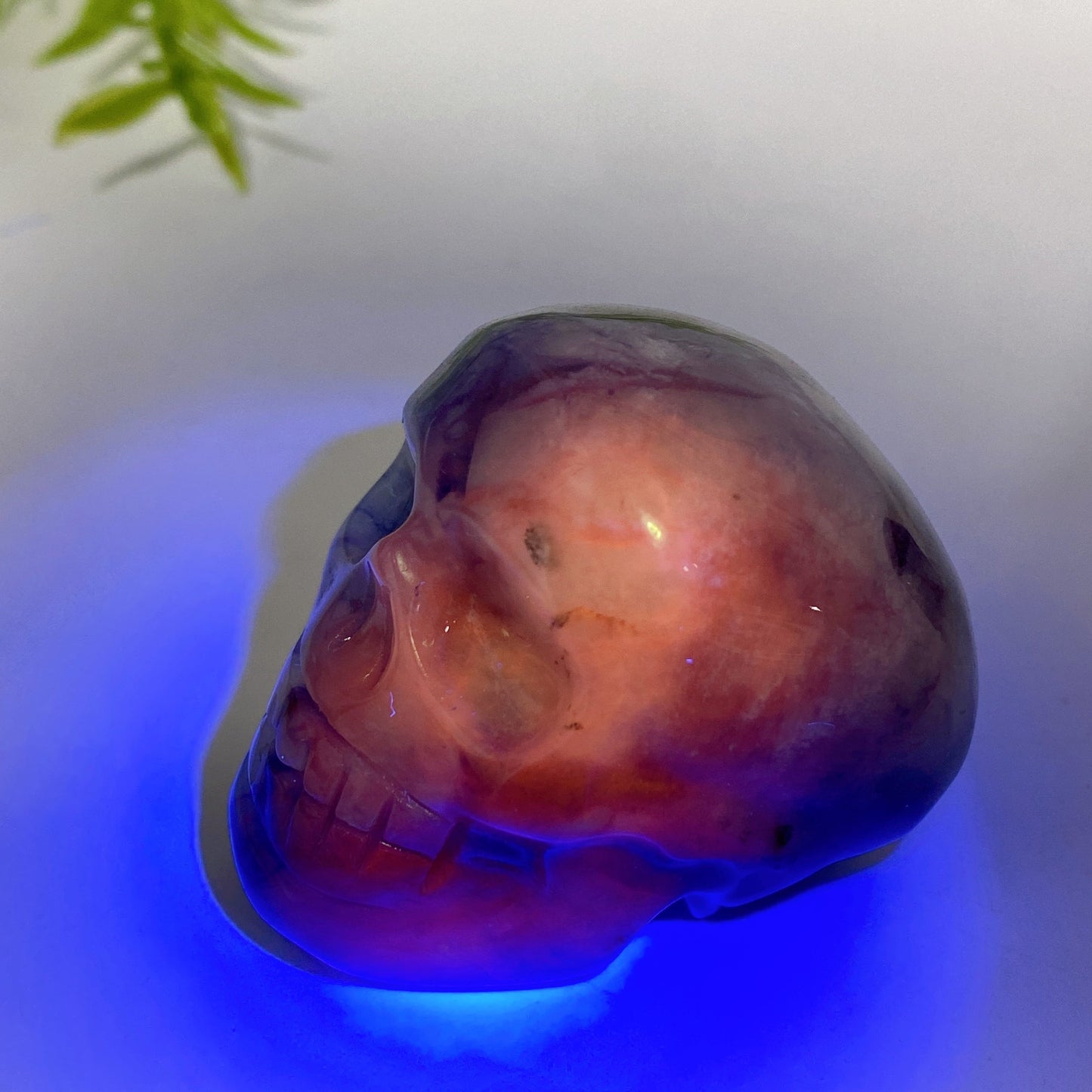 1.8" UV Reactive Sodalite Skull Carving Crystal Healing Bulk Wholesale