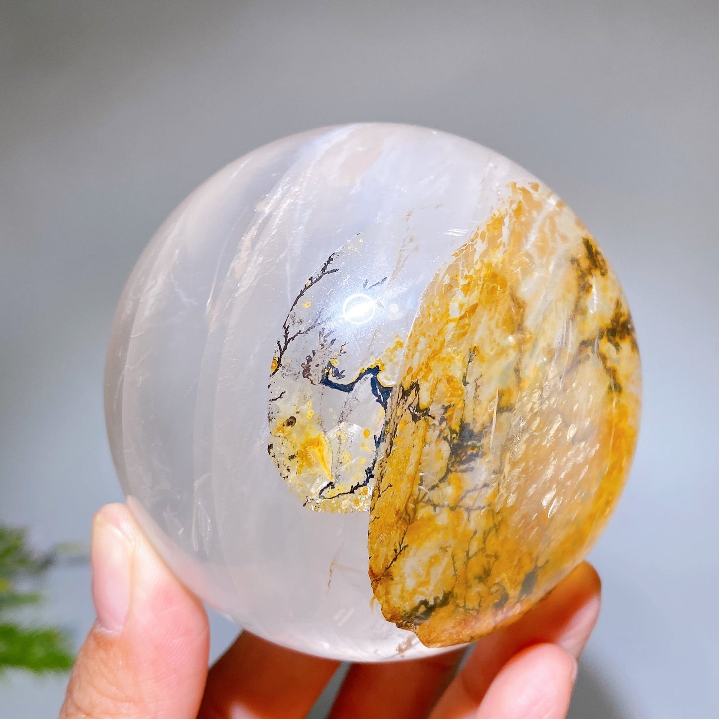 78mm Unique Denrite in Clear Quartz Sphere Crystal Healing Bulk Wholesale