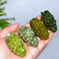 2.4" Natural Crystal Grapes Carving Crystal Healing Bulk Wholesale