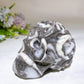 3.7"-3.9" Garnet Shell Stone Skull Carving Crystal Healing Bulk Wholesale