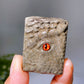 1.6" Natural Crystal Dragon Book Carving Crystal Healing Bulk Wholesale
