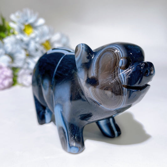 4.2" Black Banded Agate Piggy Carving Crystal Healing Bulk Wholesale