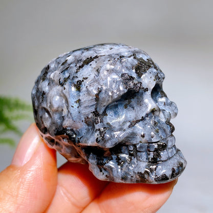 2.0" Crystal Skull Carving Crystal Healing Bulk Wholesale