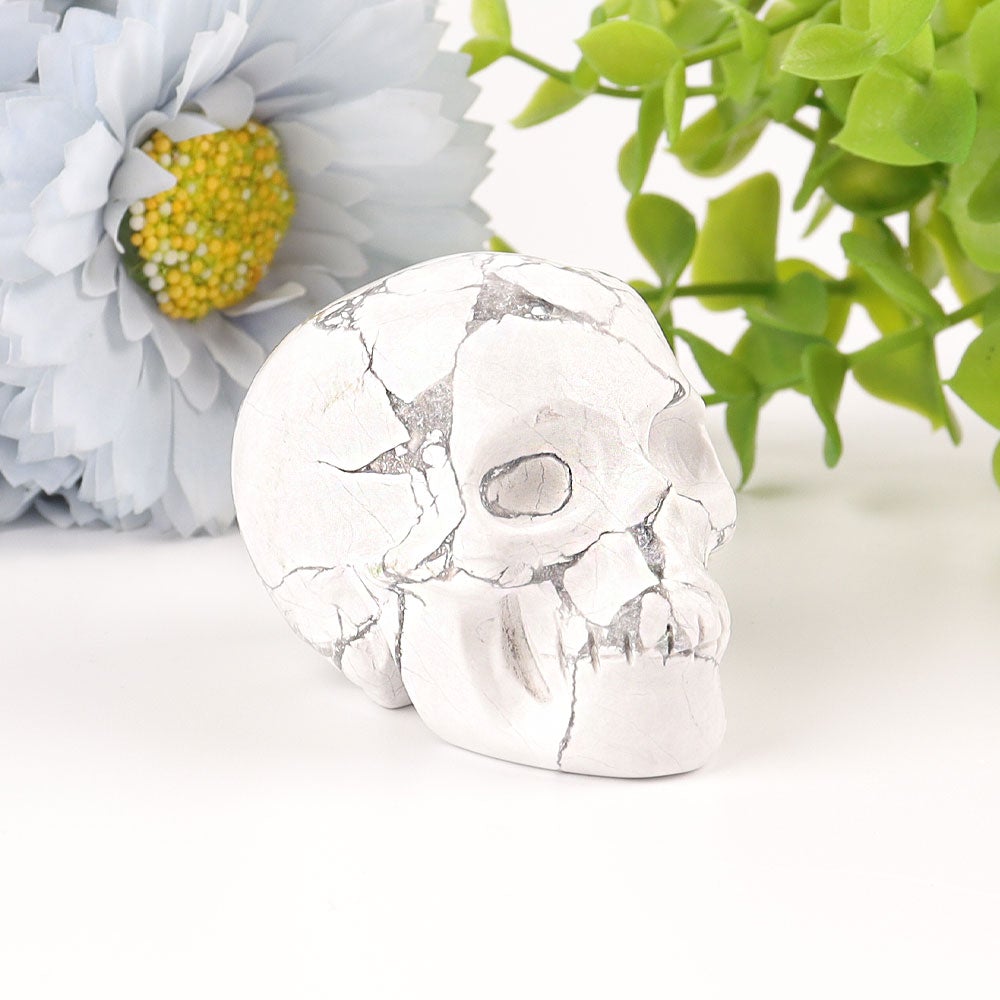 2" Howlite Skull Crystal Carvings Best Crystal Wholesalers