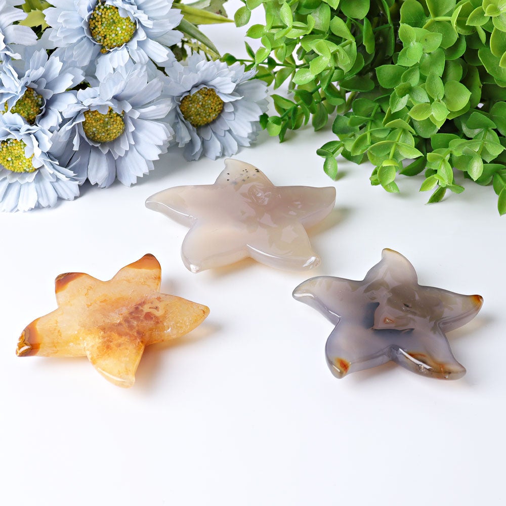 3.0"-3.5" Druzy Agate Starfish Crystal Carvings Best Crystal Wholesalers