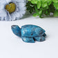 2.3" Blue Apatite Sea Turtle Crystal Carvings Best Crystal Wholesalers