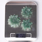 2" Green Aventurine Flower Crystal Carving Plants Bulk Best Crystal Wholesalers