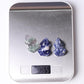 1.5" Frog Crystal Carvings Animal Bulk Best Crystal Wholesalers