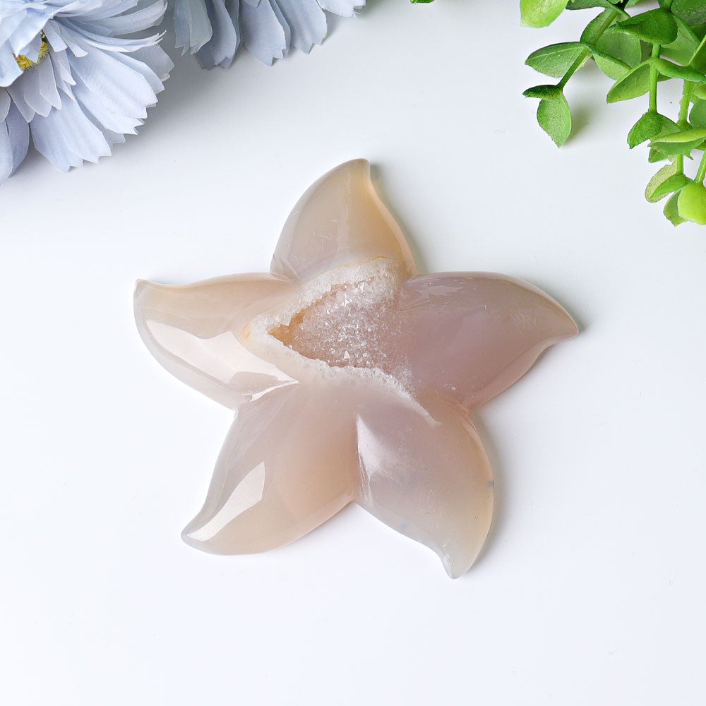 3.0"-3.5" Druzy Agate Starfish Crystal Carvings Best Crystal Wholesalers