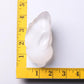 4" Rabbit Selenite Carvings Bulk Best Crystal Wholesalers