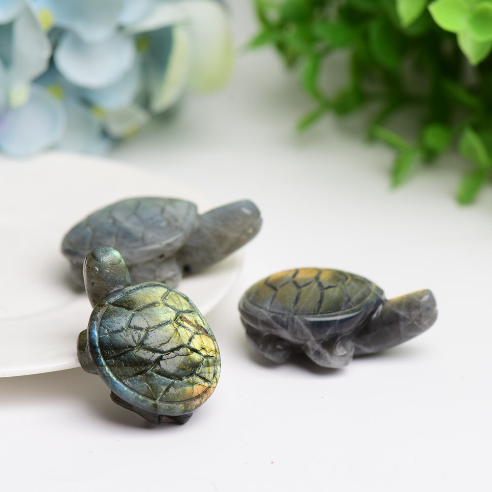 1.6" Labradorite Turtle Animal Crystal Carving Bulk Best Crystal Wholesalers