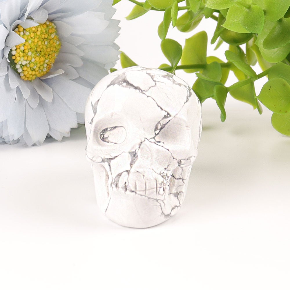 2" Howlite Skull Crystal Carvings Best Crystal Wholesalers