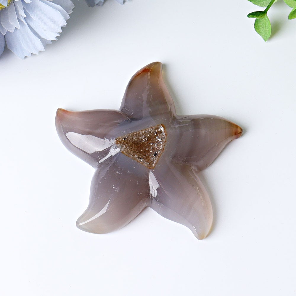 3.0"-3.5" Druzy Agate Starfish Crystal Carvings Best Crystal Wholesalers