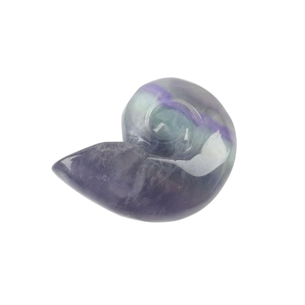 Fluorite Snail Shell Carving