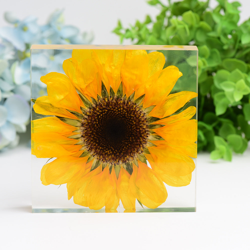 4.6" Square Resin with Sun Flower Free Form for Home Decor Bulk WholesaleBest Crystal Wholesalers