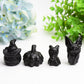 Black Obsidian Carving for Halloween Bulk Wholesale