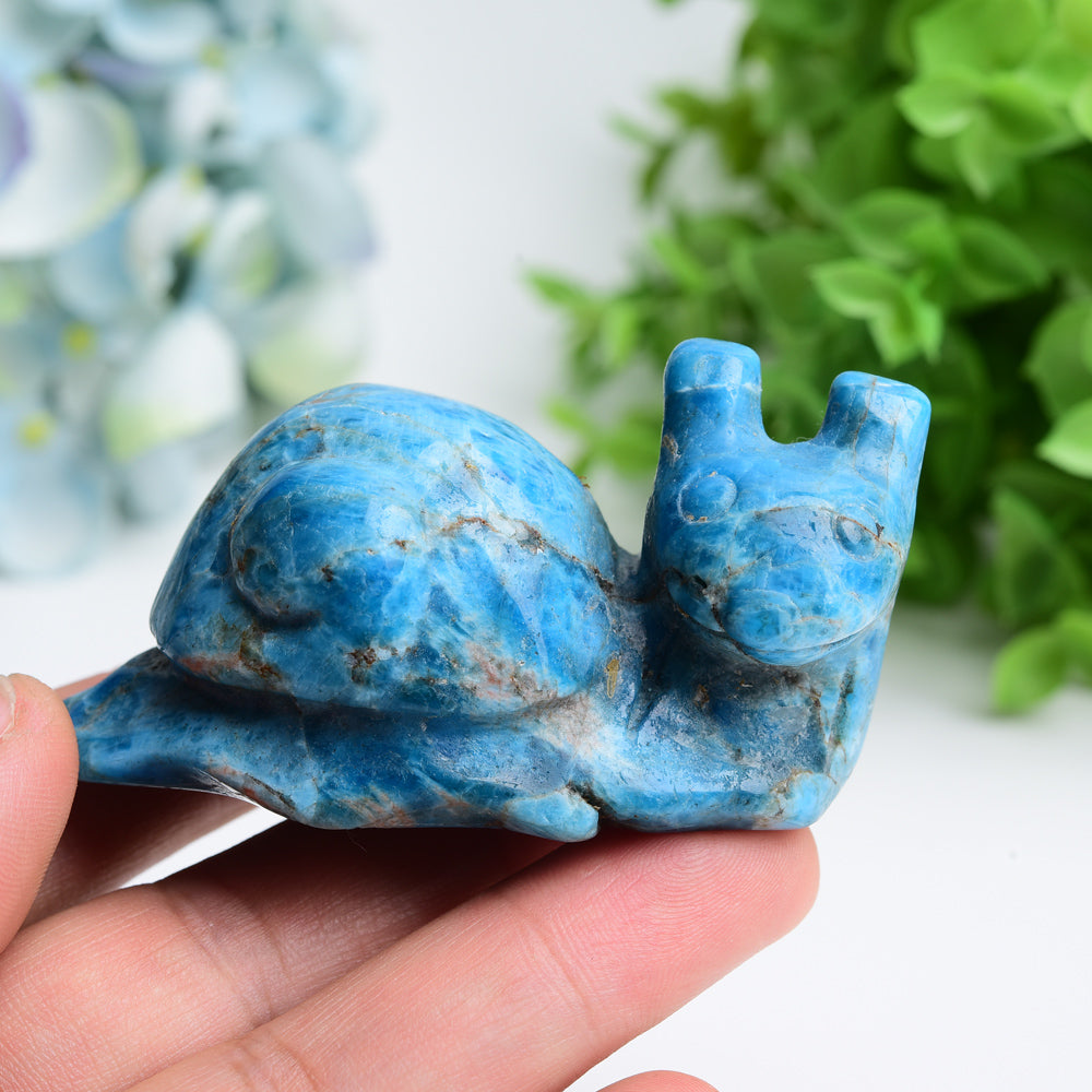 3.0" Bule Apatite Snail Crystal Carving Bulk Wholesale