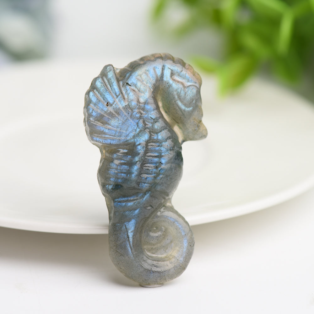 2.0" Labradorite Hippocampus Crystal Carving Bulk Wholesale