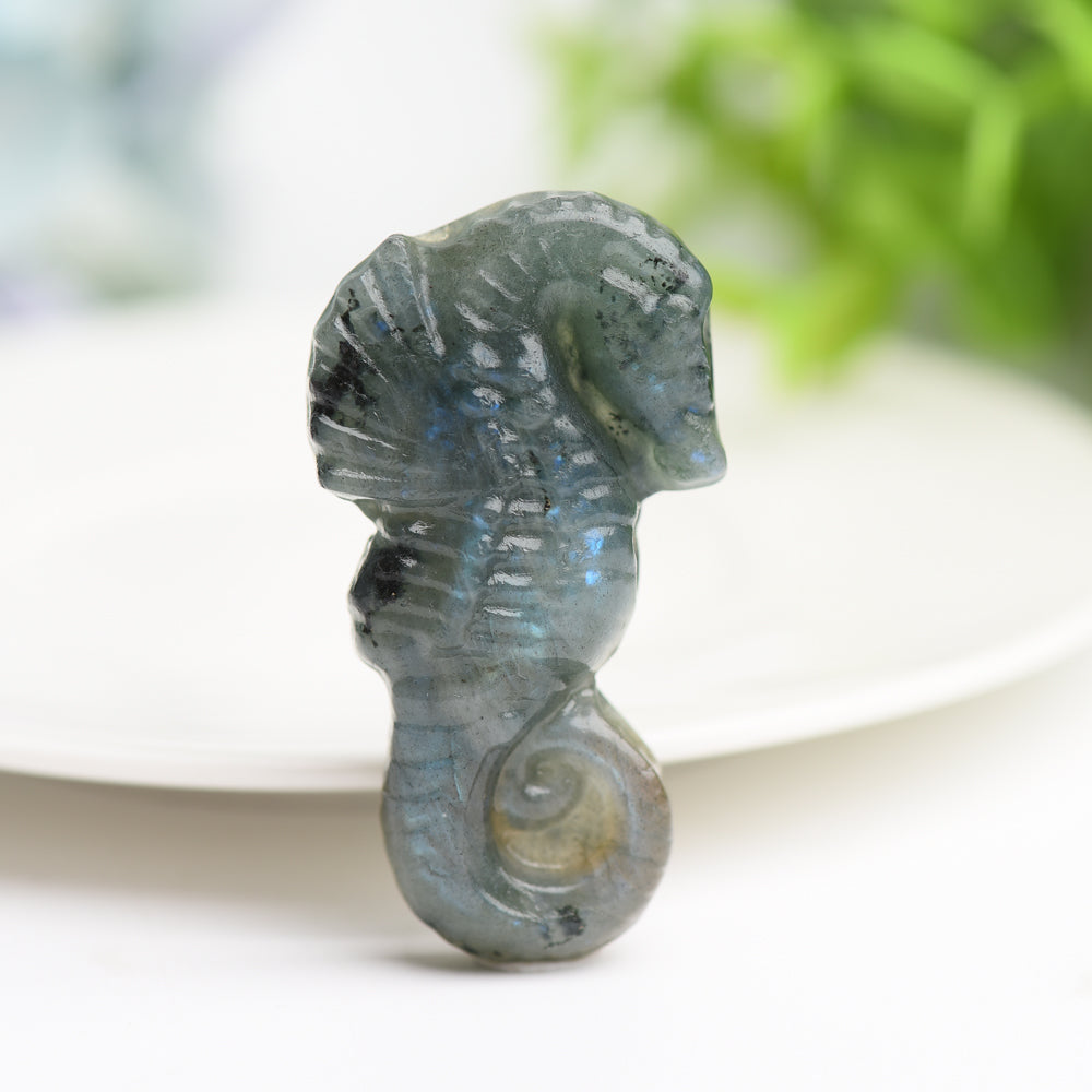 2.0" Labradorite Hippocampus Crystal Carving Bulk Wholesale