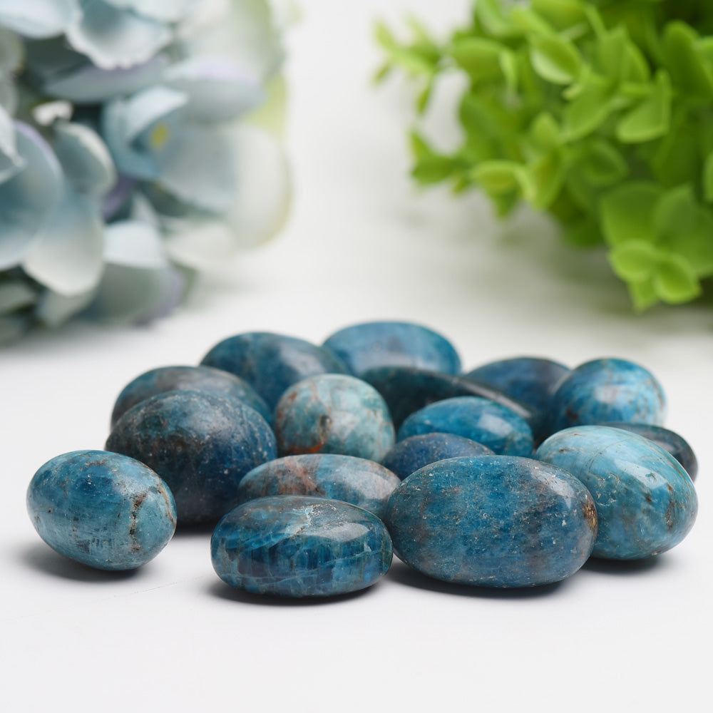 25-30mm Blue Appatite Crystal Tumbles Bag Bulk Wholesale