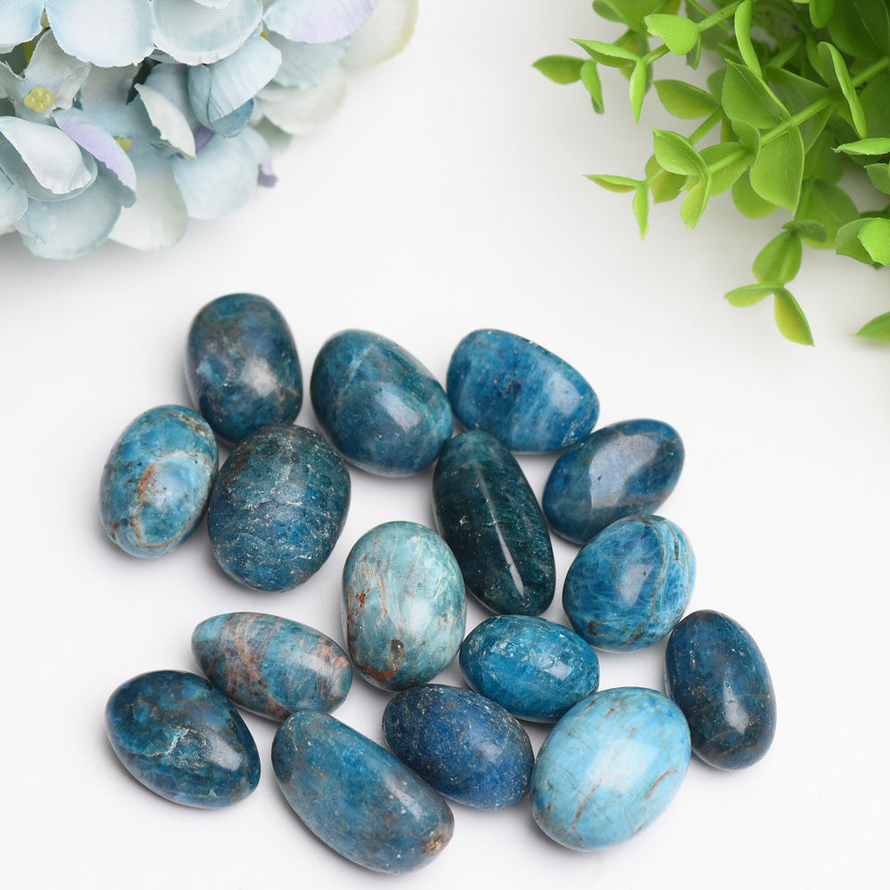 25-30mm Blue Appatite Crystal Tumbles Bag Bulk Wholesale