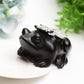 4.0" Ammonite Frog Crystal Carving Bulk Wholesale
