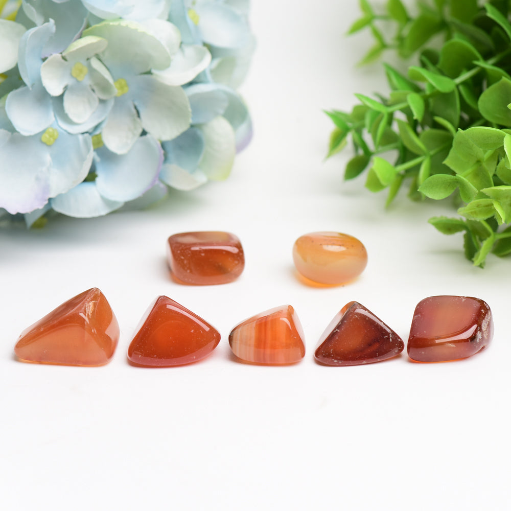 Carnelian Crystal Tumble Bulk Wholesale