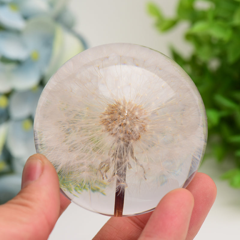 2.6" Resin Sphere with Dandelion Inside Bulk Crystal wholesale suppliers