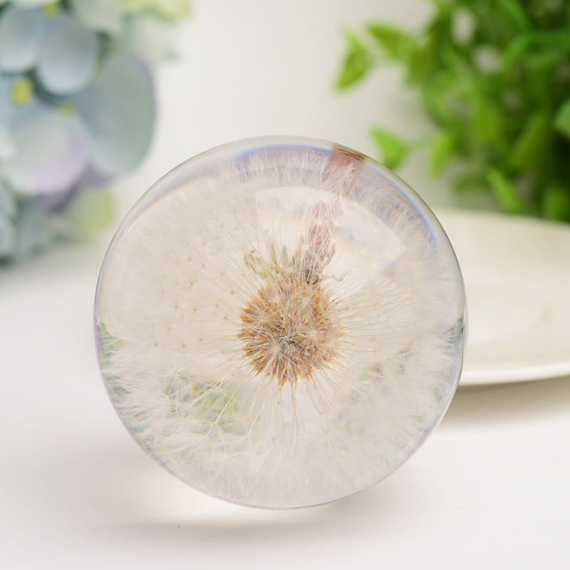 2.6" Resin Sphere with Dandelion Inside Bulk Crystal wholesale suppliers