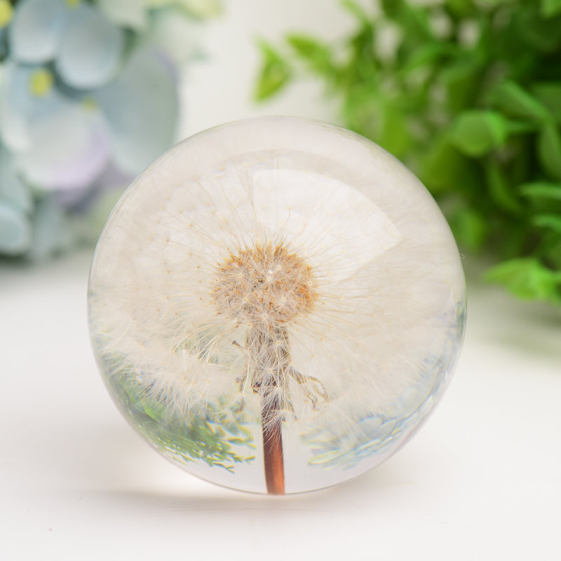 2.6" Resin Sphere with Dandelion Inside Bulk Crystal wholesale suppliers