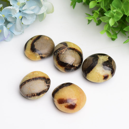 1.5"-2.0" Septarian  Septarium Palm Stone Tumbled stone Bulk Best Crystal Wholesalers