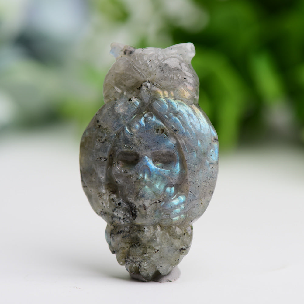 2.1" Labradorite Owl with Skull Dec Crystal Carving Bulk Best Crystal Wholesalers