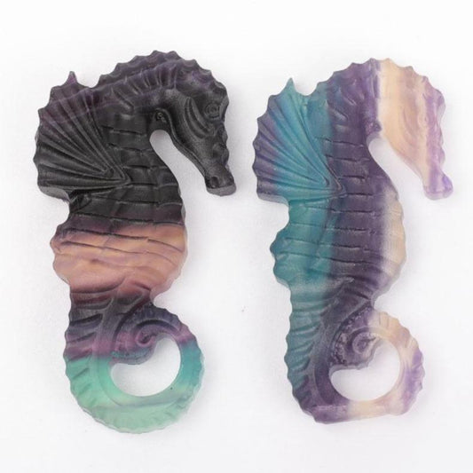 Fluorite Hippocampus Carvings Animal Bulk Best Crystal Wholesalers